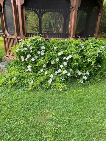 428 North Road Salisbury NH 03268