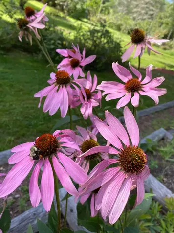 428 North Road Salisbury NH 03268