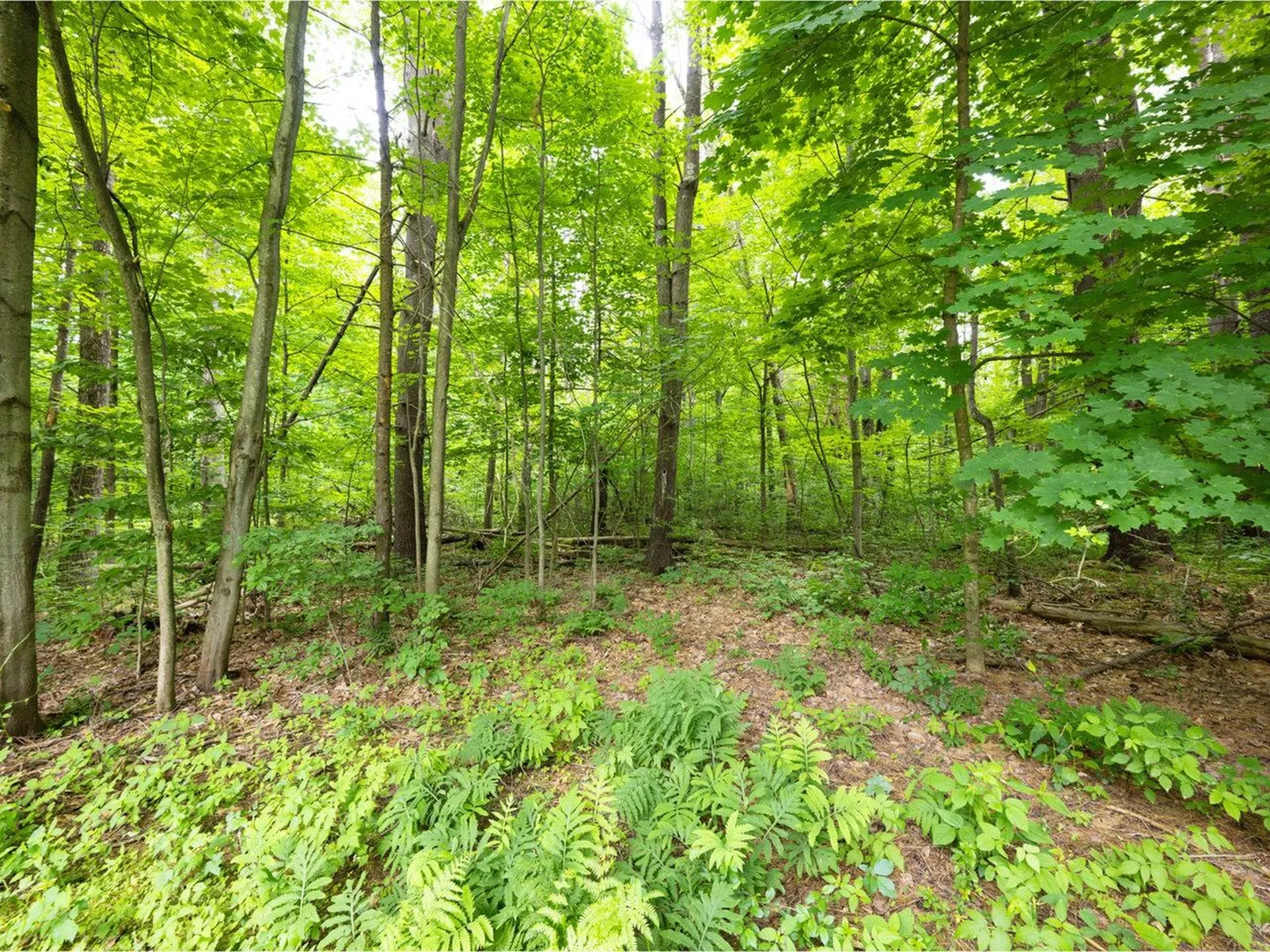 86 Pinecrest Drive Essex VT 05452