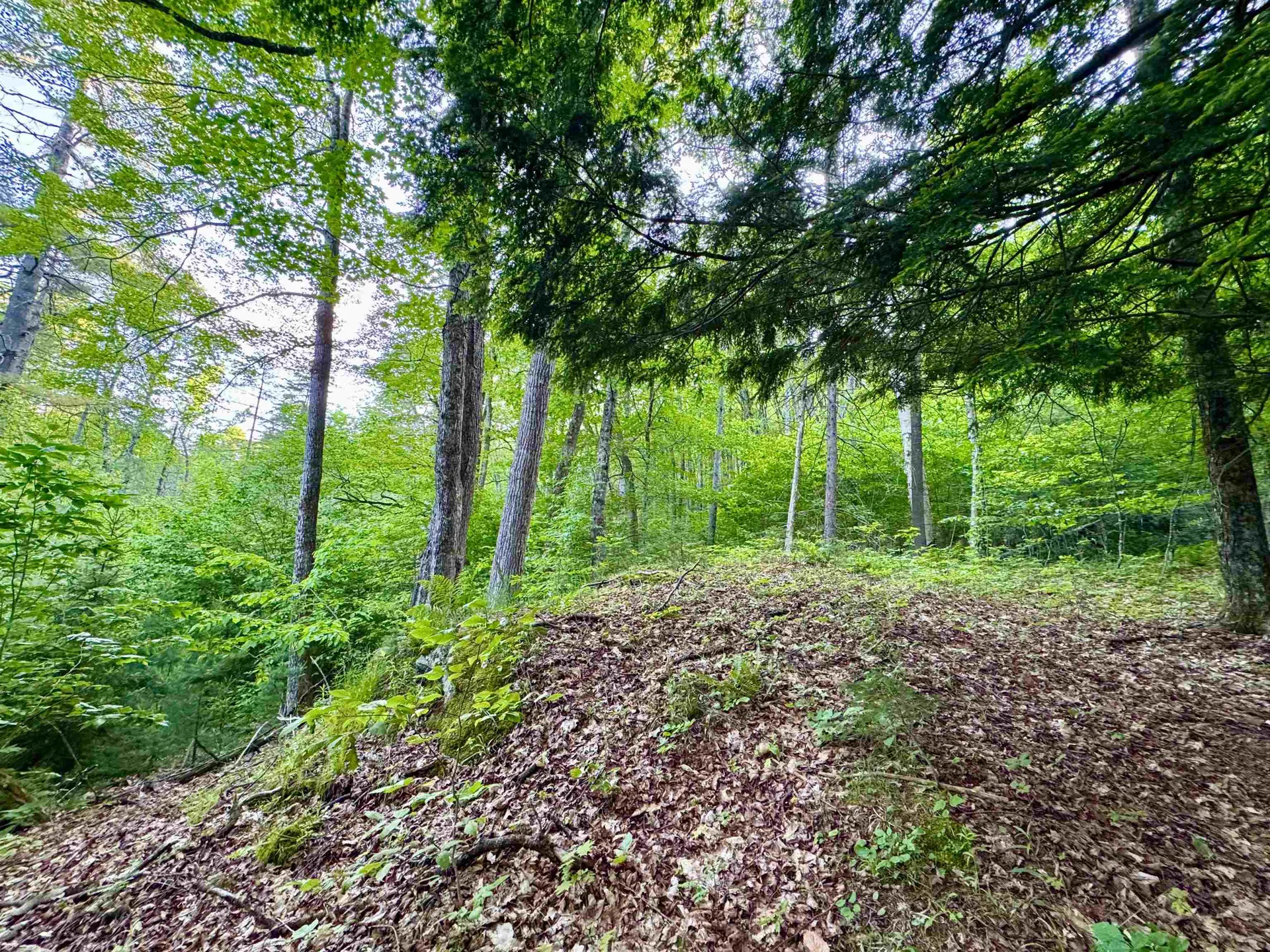 0 Old Post Road Bradford VT 05033