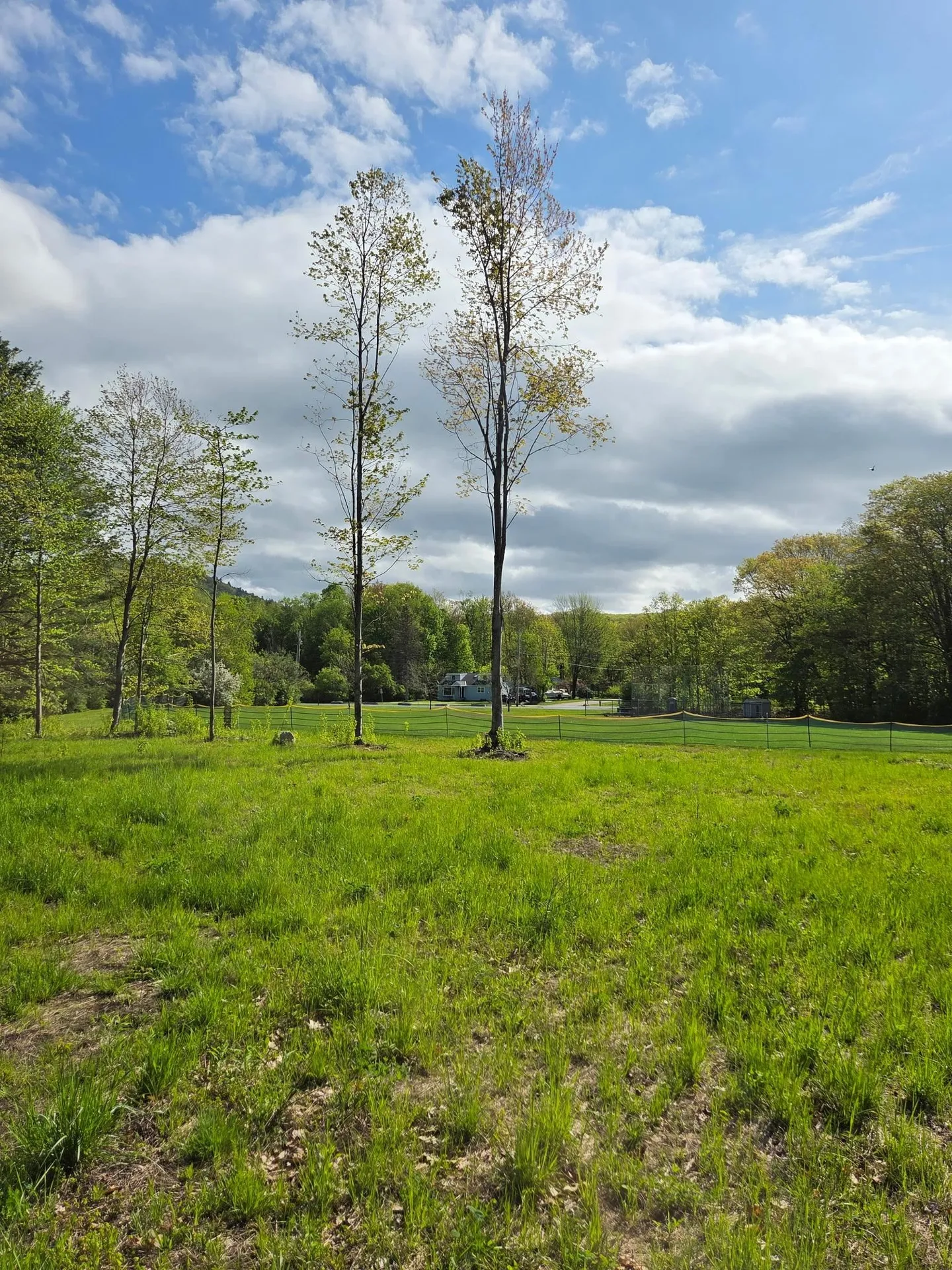 Lot 1c Daisy Lane Middlebury VT 05753