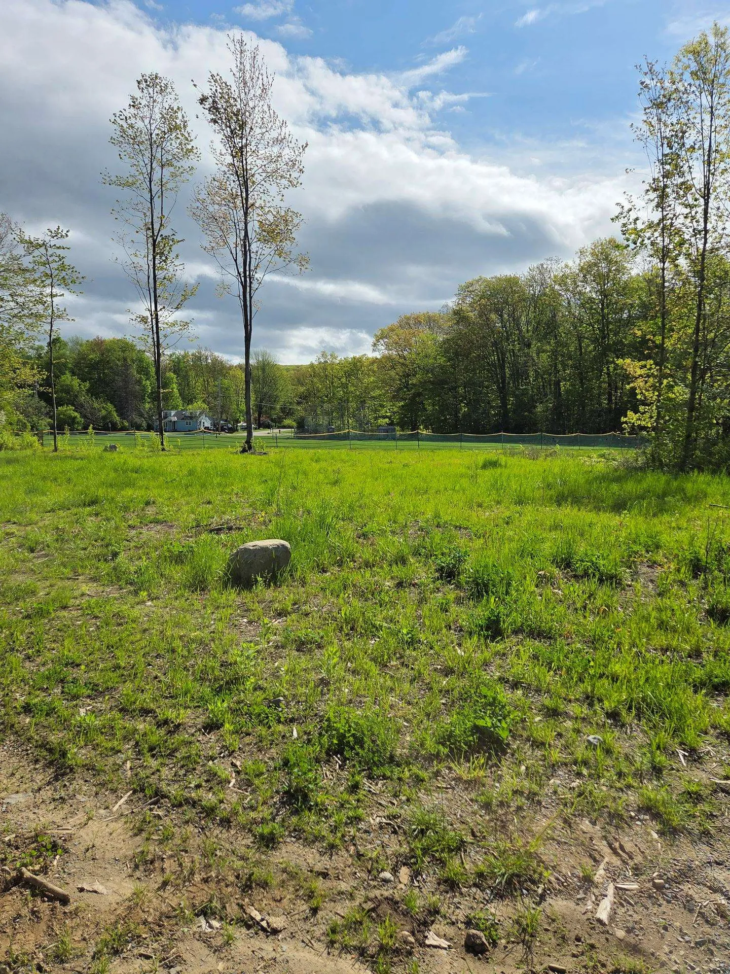 Lot 1c Daisy Lane Middlebury VT 05753