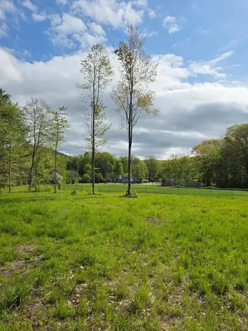 Lot 1c Daisy Lane Middlebury VT 05753