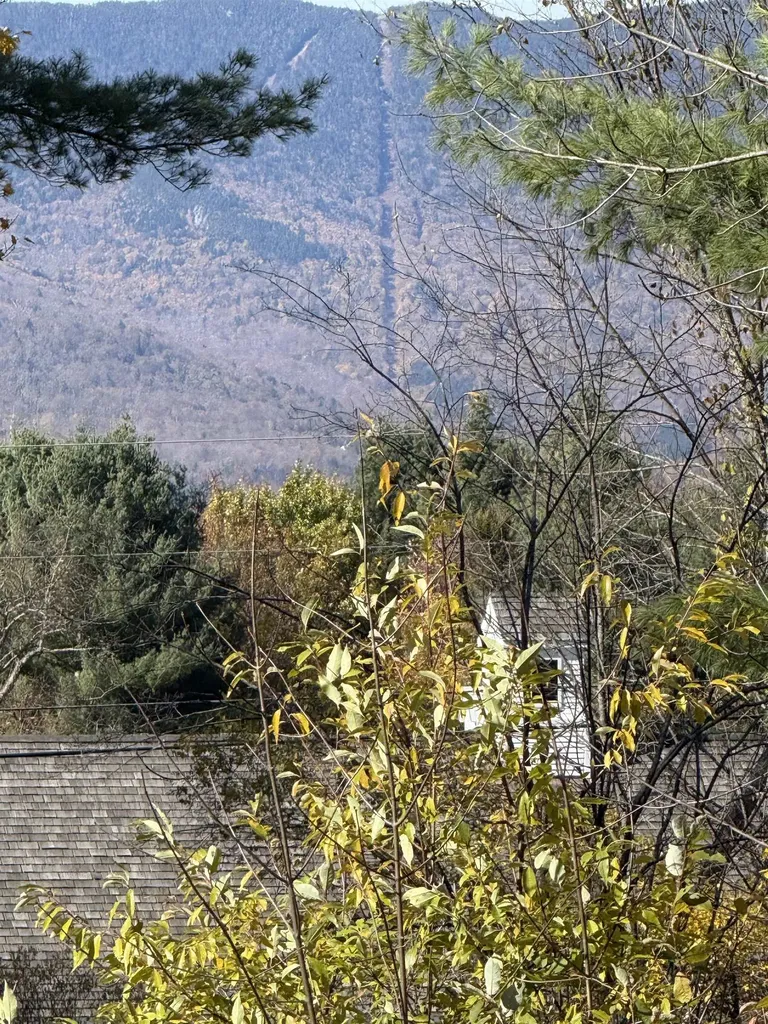 93 Senor Road Warren VT 05674