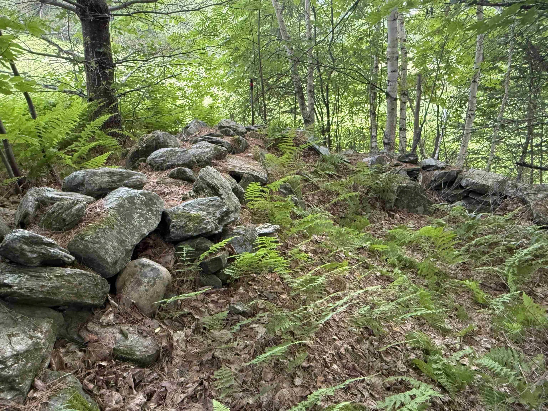 93 Senor Road Warren VT 05674