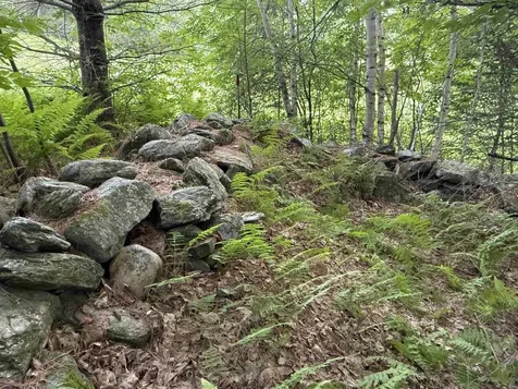 93 Senor Road Warren VT 05674