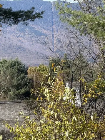 93 Senor Road Warren VT 05674