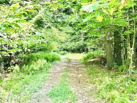 River Road Bath NH 03740