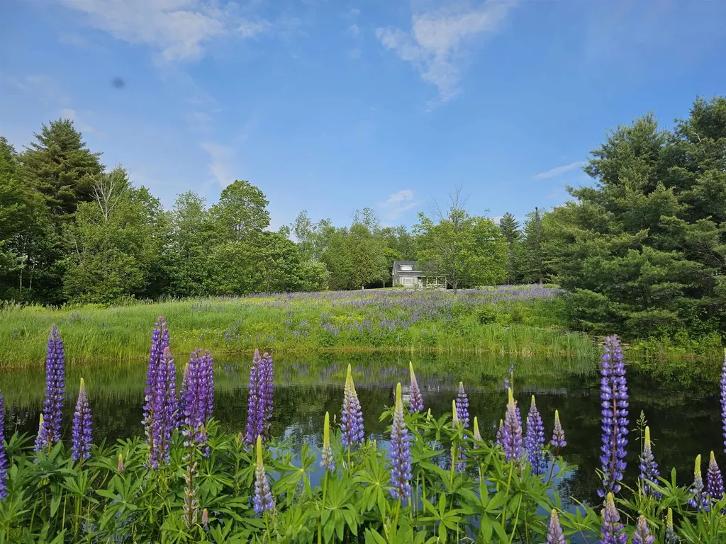 171 Pollard Road Grafton VT 05146