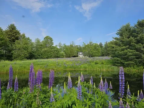 171 Pollard Road Grafton VT 05146