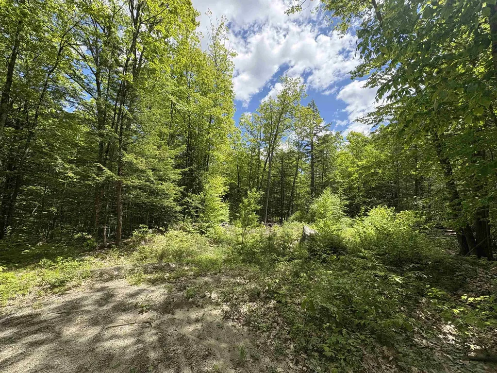 Craig Road Antrim NH 03440