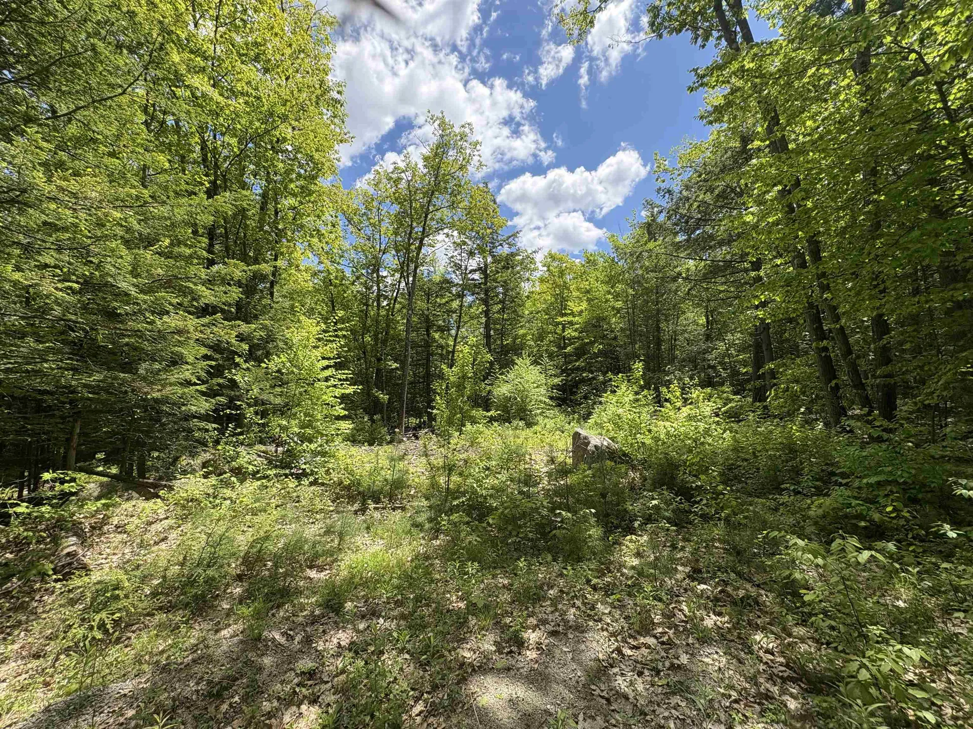 Craig Road Antrim NH 03440