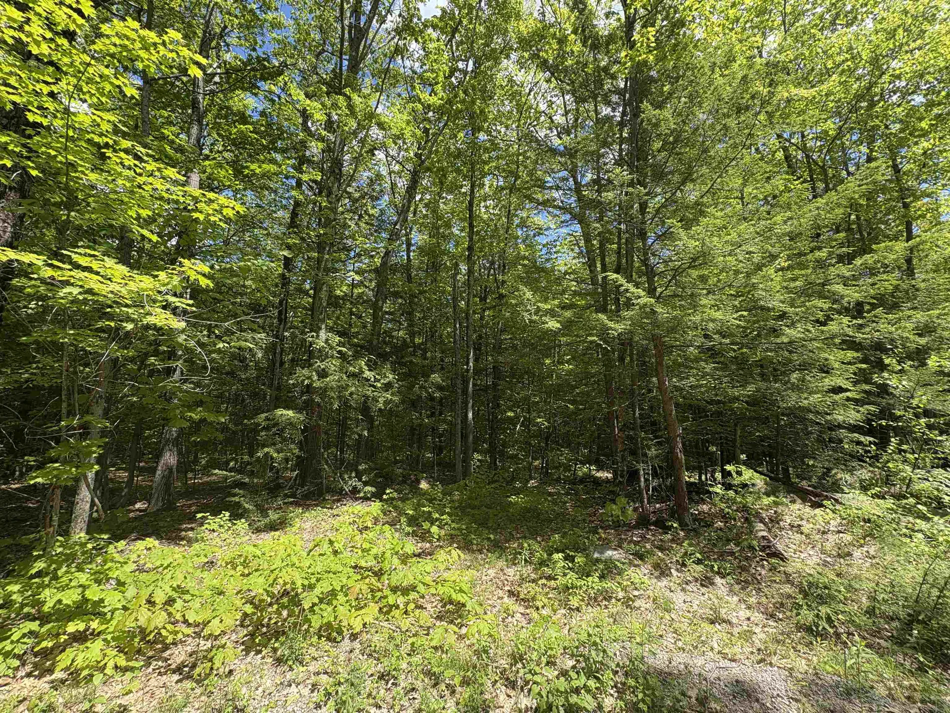 Craig Road Antrim NH 03440