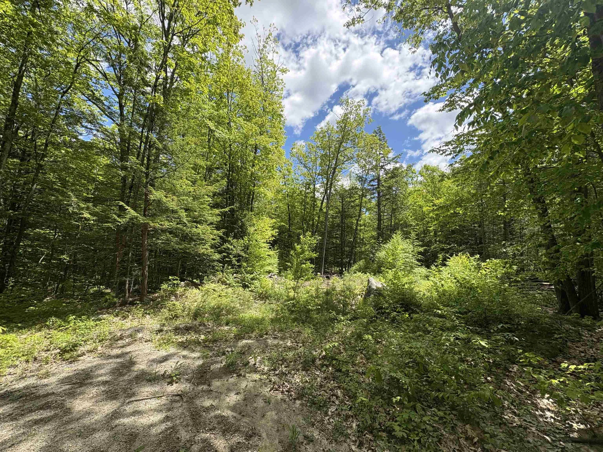 Craig Road Antrim NH 03440