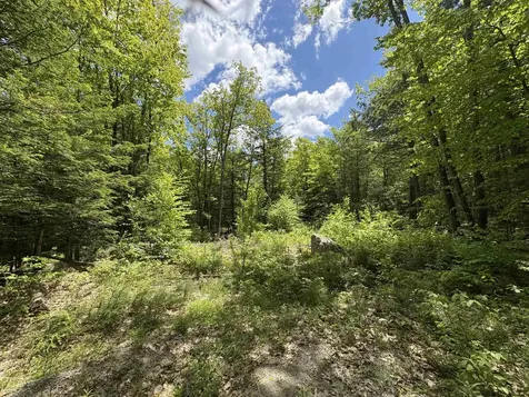 Craig Road Antrim NH 03440