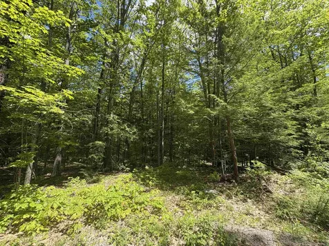 Craig Road Antrim NH 03440