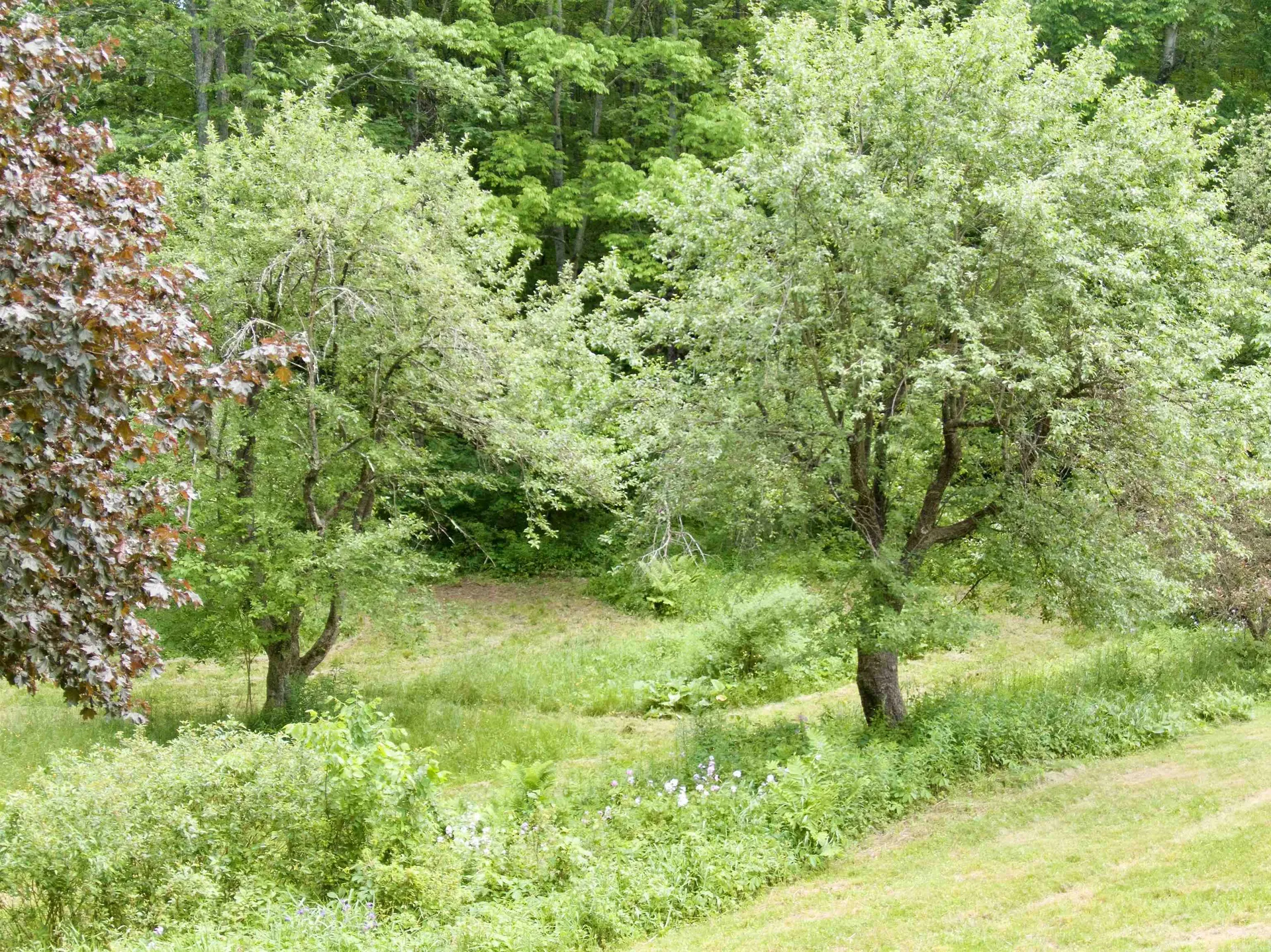 459 Bat Hennesy Road Moretown VT 05660