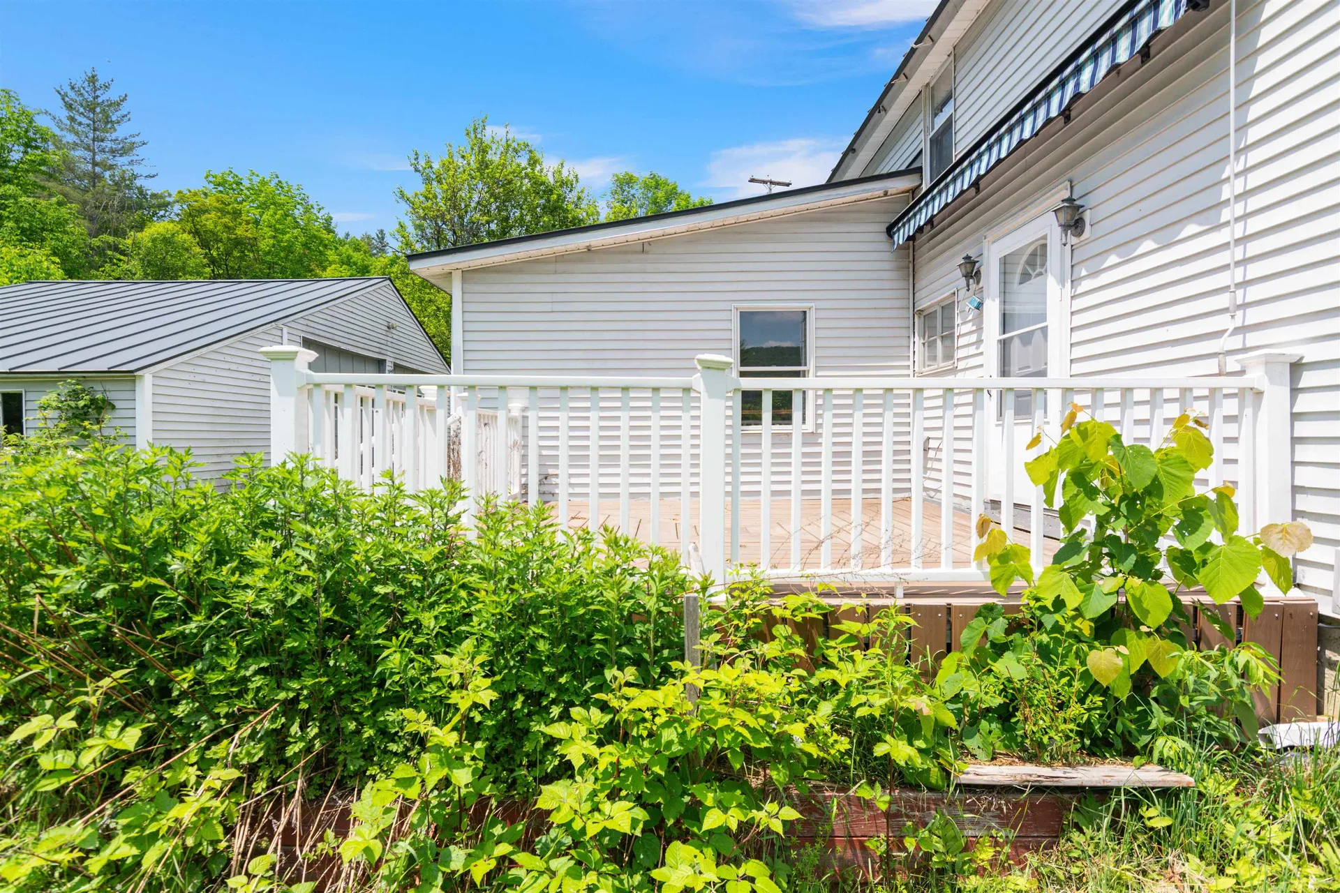 335 Warren Mountain Road Roxbury VT 05669