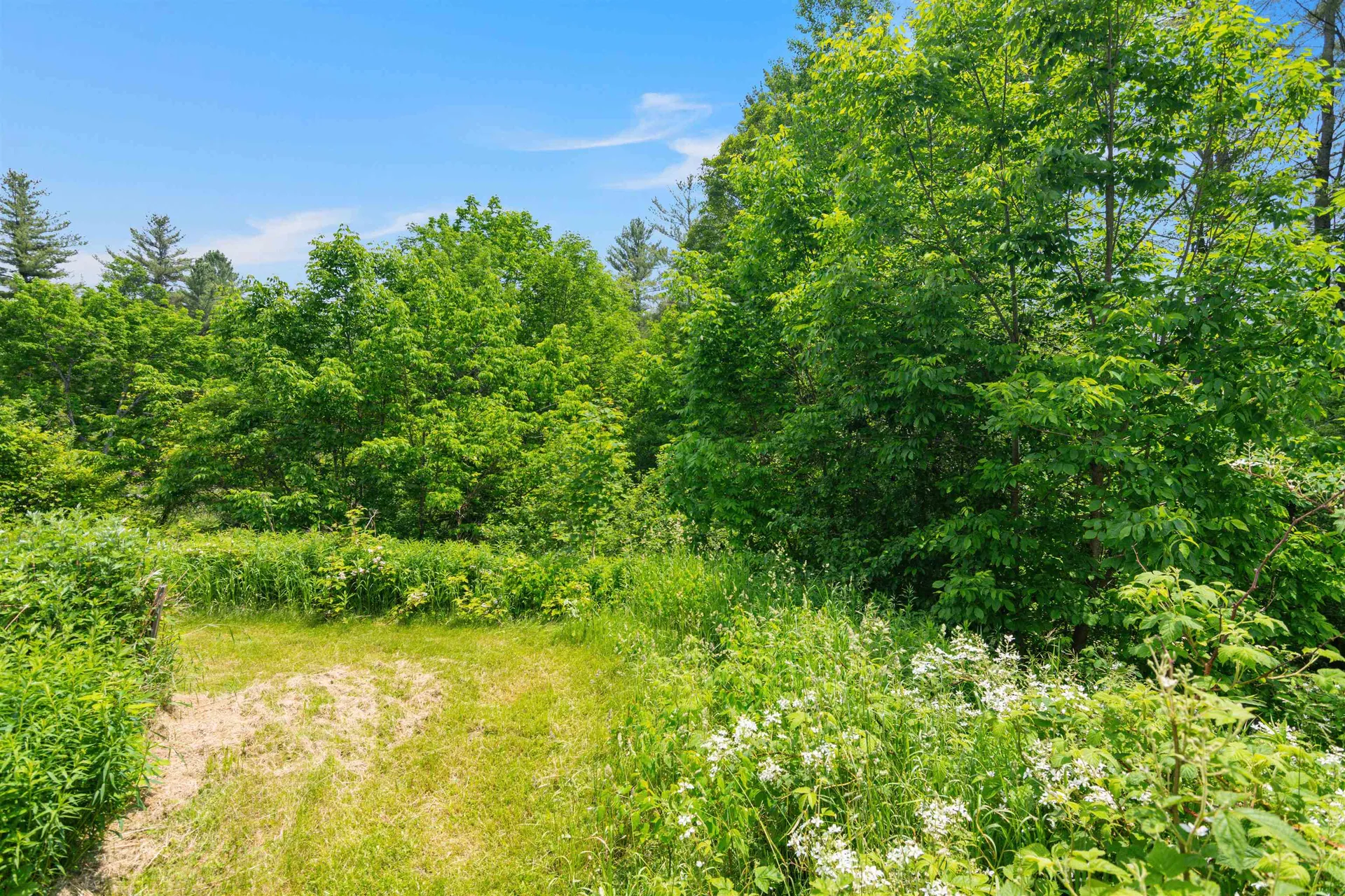 335 Warren Mountain Road Roxbury VT 05669