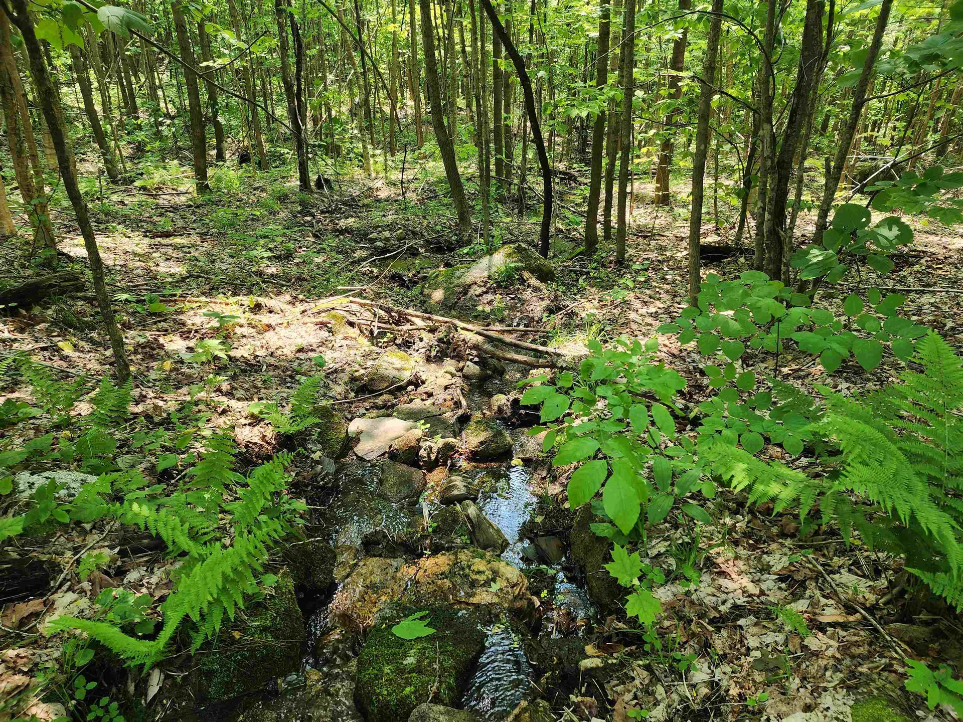 0 Mud Pond Road Dummer NH 03588