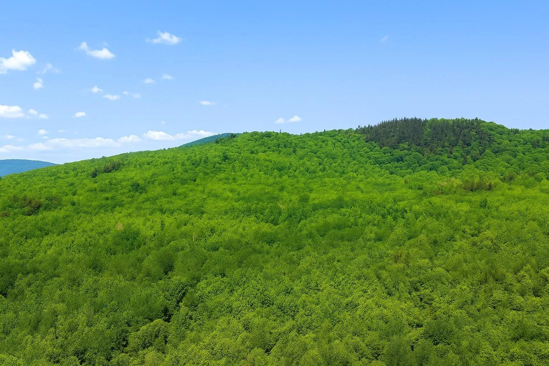 0 Mud Pond Road Dummer NH 03588