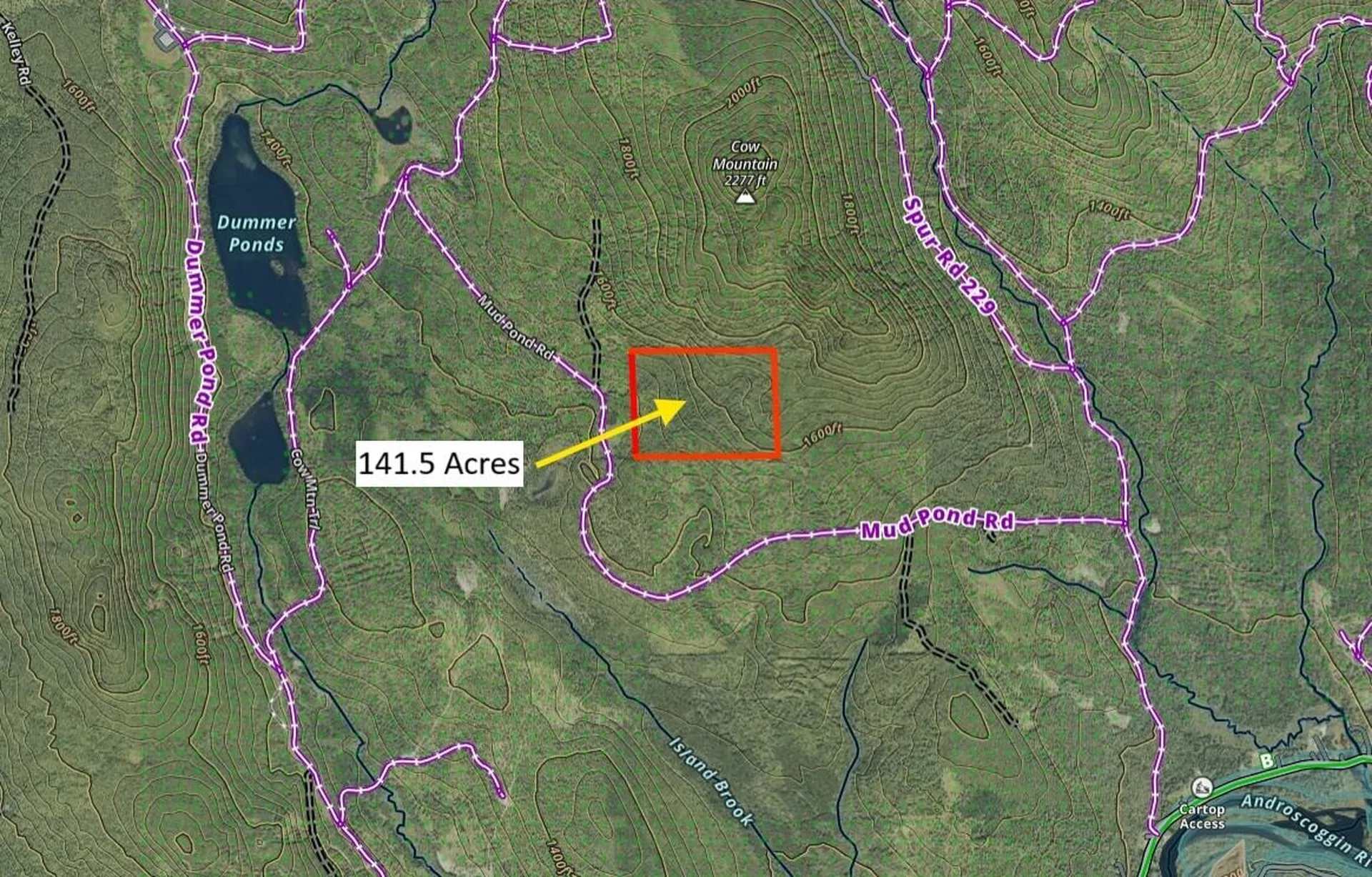 0 Mud Pond Road Dummer NH 03588