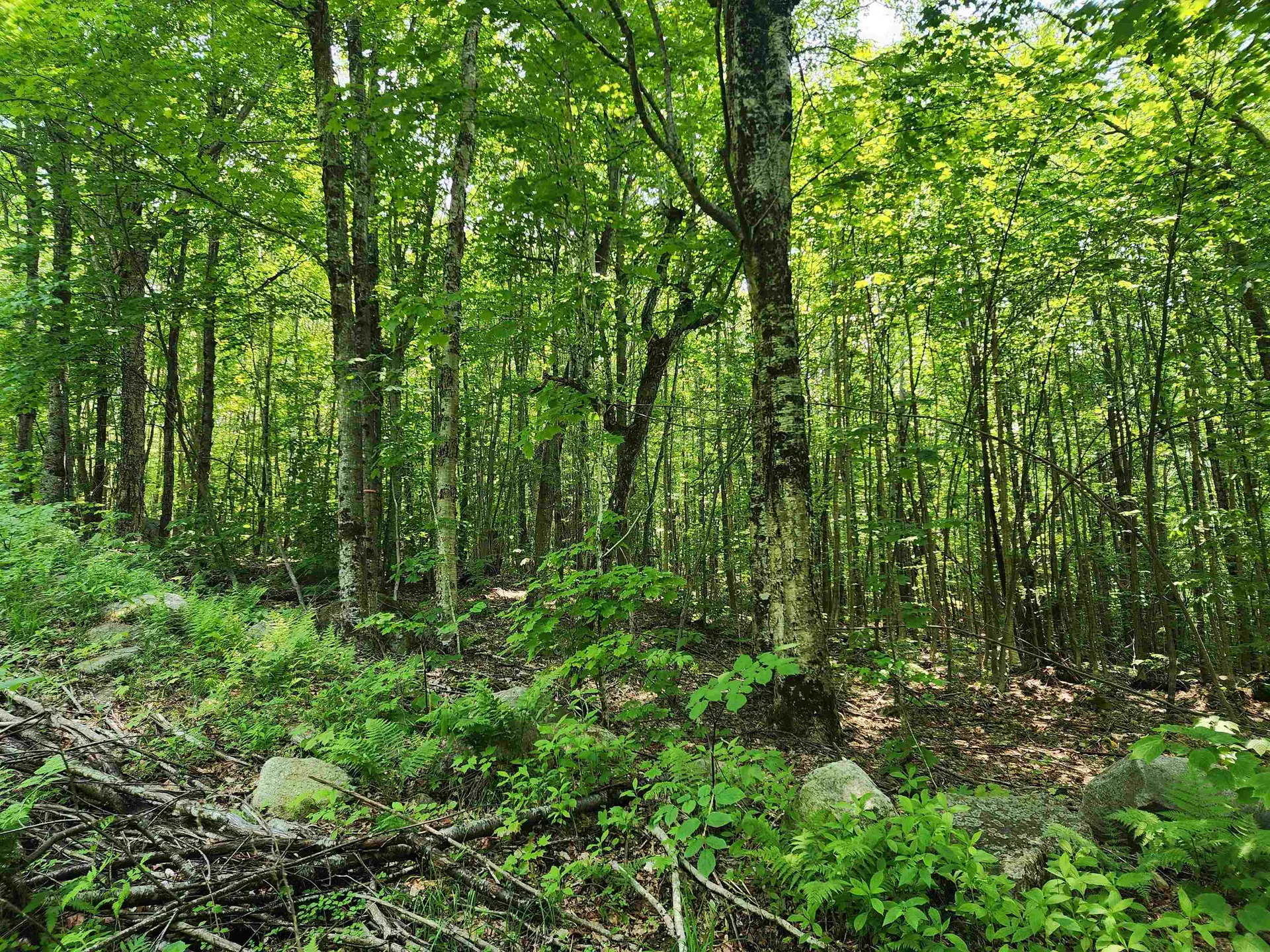 0 Mud Pond Road Dummer NH 03588