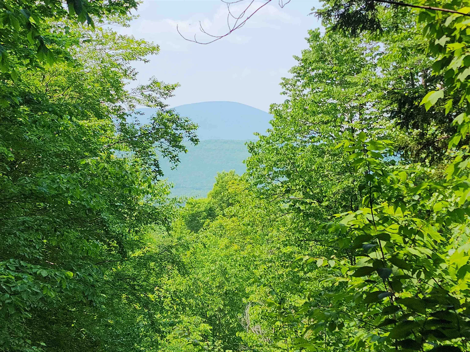 0 Mud Pond Road Dummer NH 03588