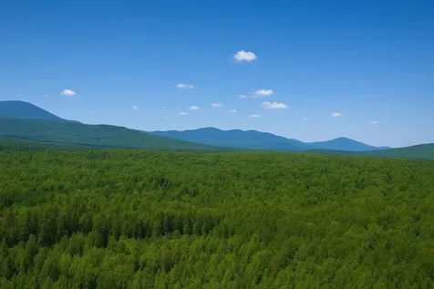 0 Mud Pond Road Dummer NH 03588