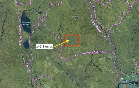 0 Mud Pond Road Dummer NH 03588