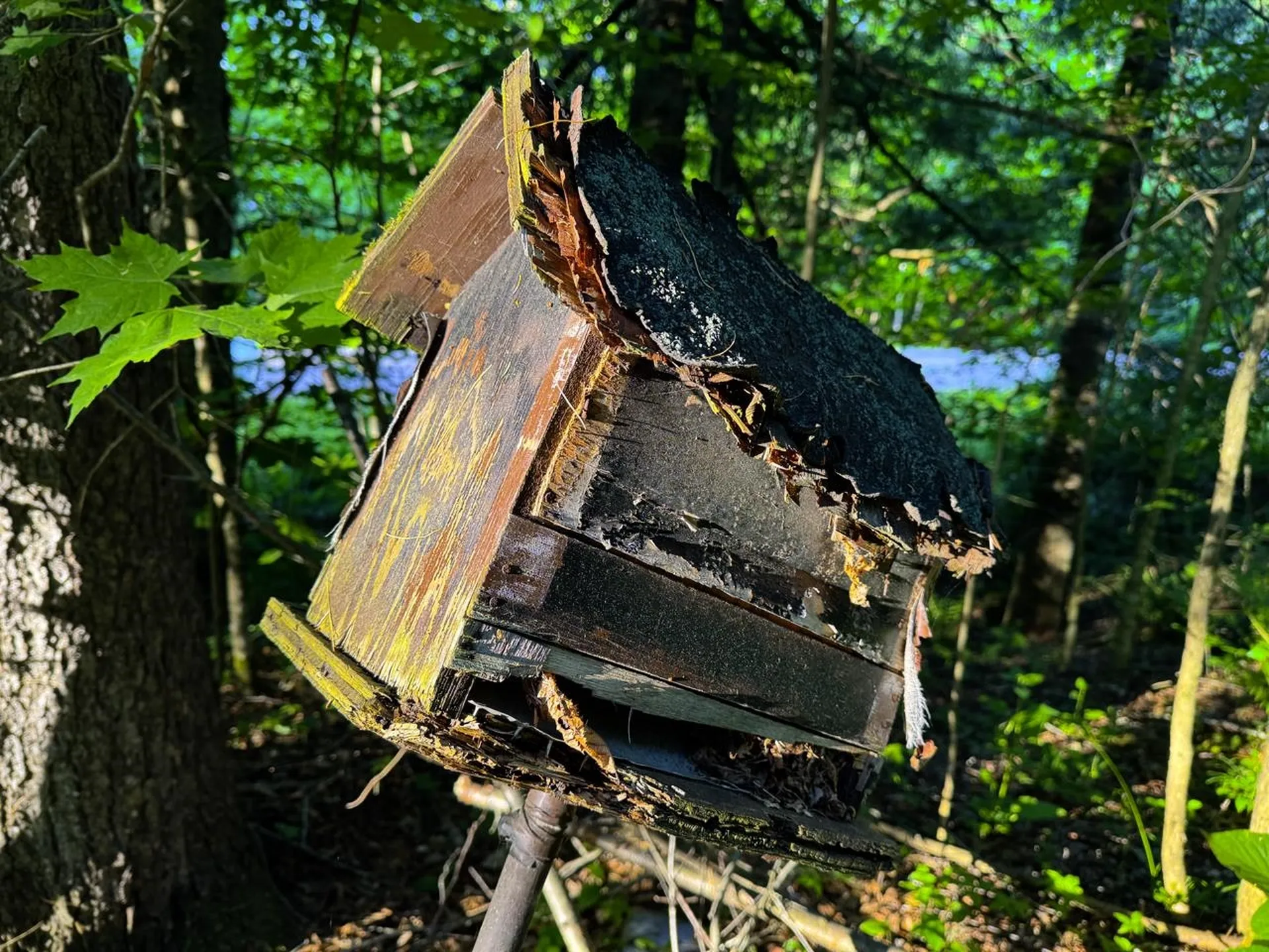 671 North Fayston Road Waitsfield VT 05673