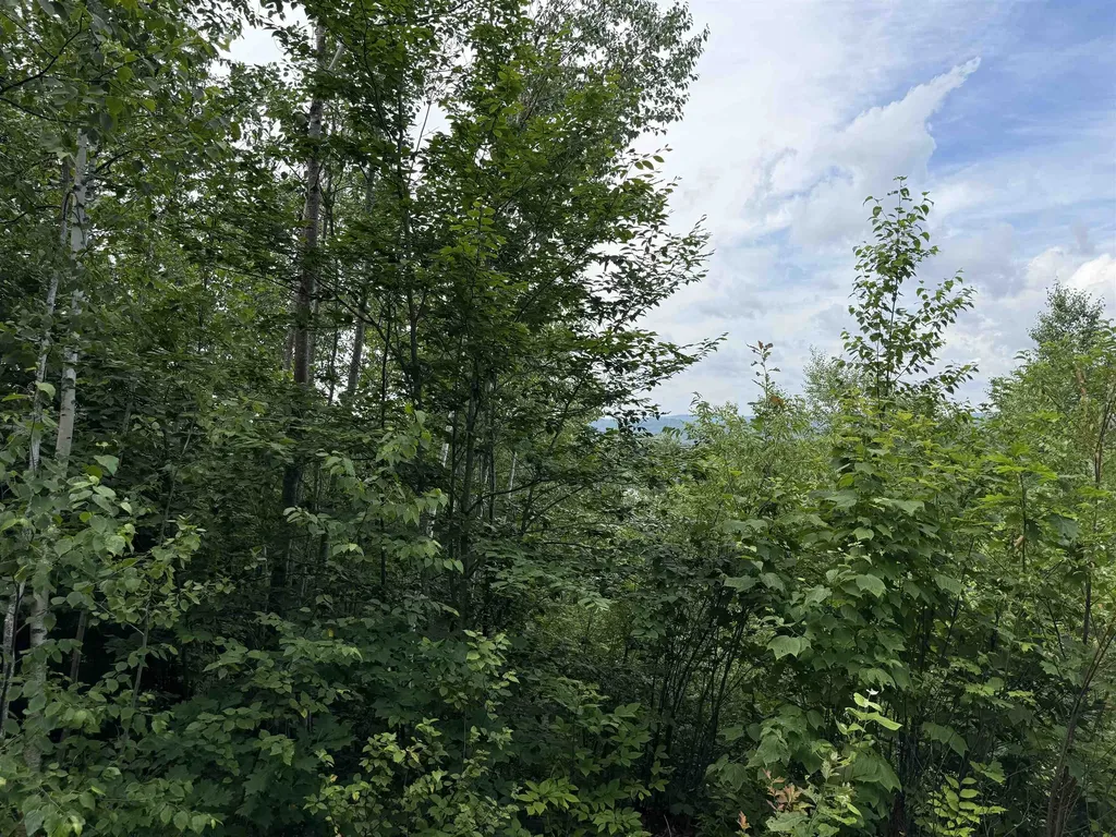 00 Marsha Drive Alton NH 03809