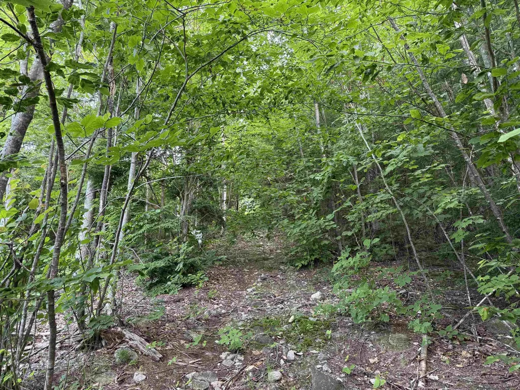 00 Marsha Drive Alton NH 03809