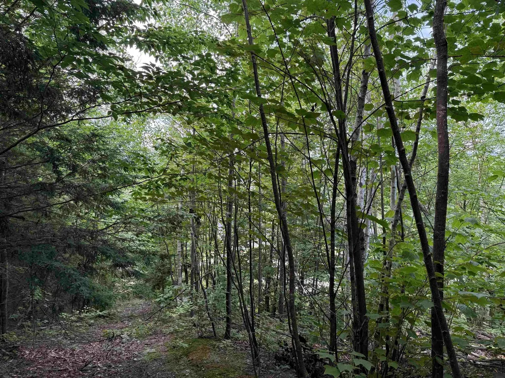 00 Marsha Drive Alton NH 03809