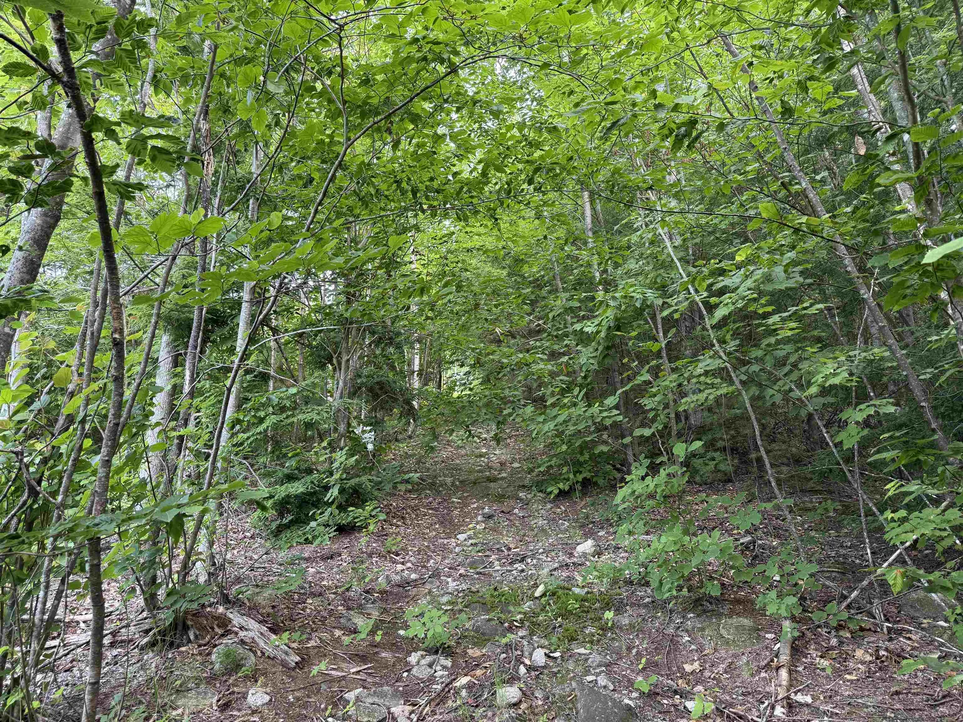 00 Marsha Drive Alton NH 03809