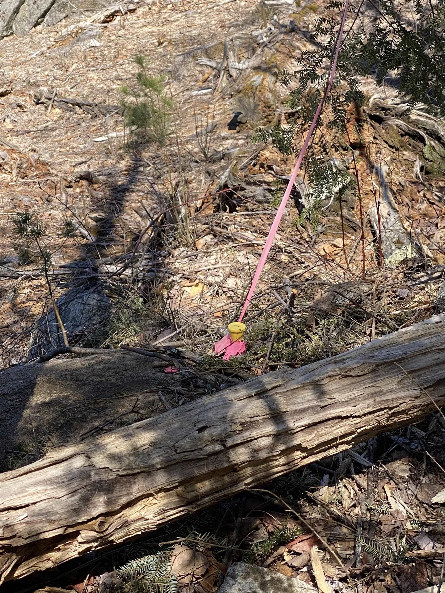 00 Marsha Drive Alton NH 03809