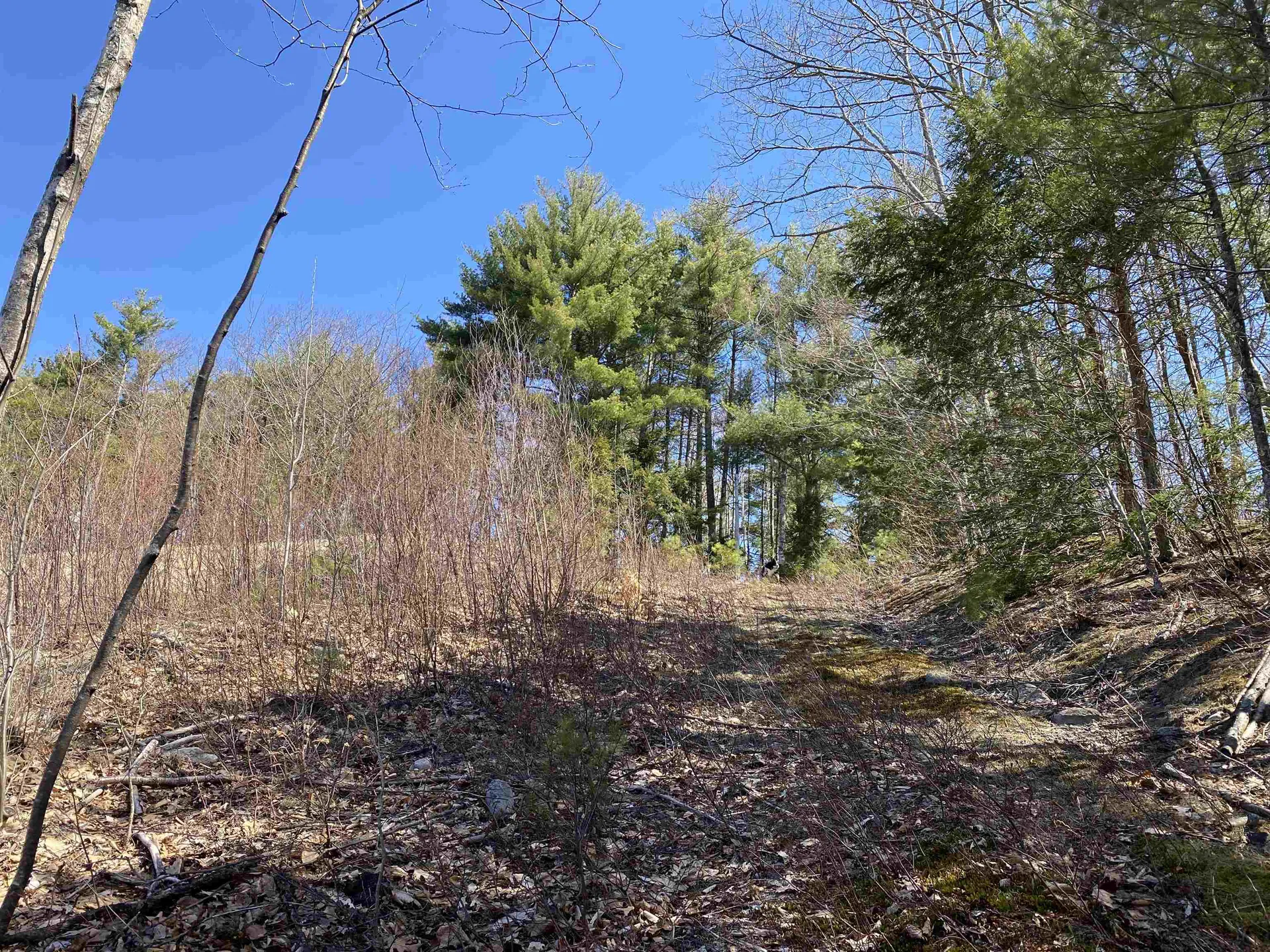 00 Marsha Drive Alton NH 03809