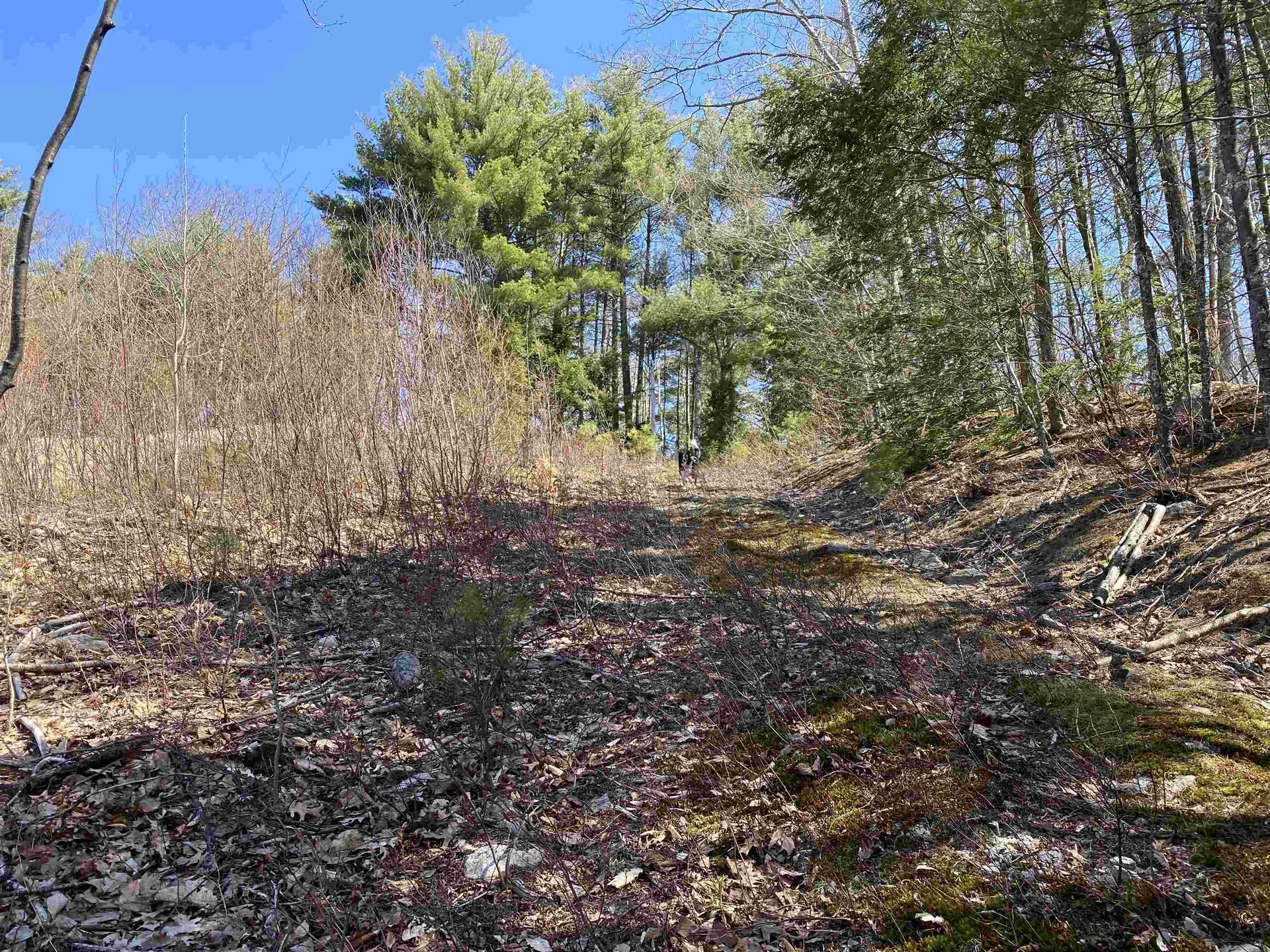 00 Marsha Drive Alton NH 03809