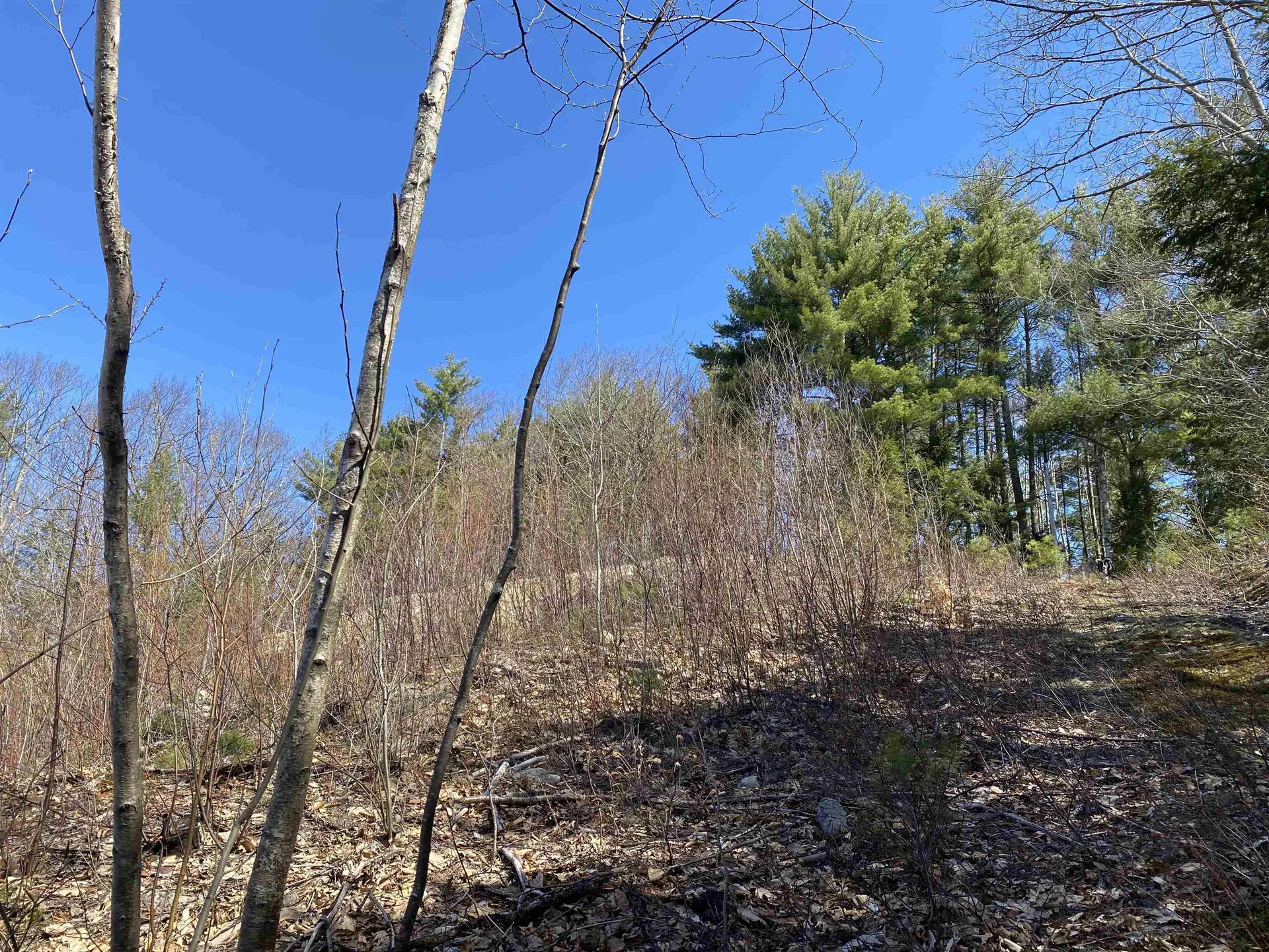 00 Marsha Drive Alton NH 03809