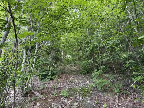 00 Marsha Drive Alton NH 03809