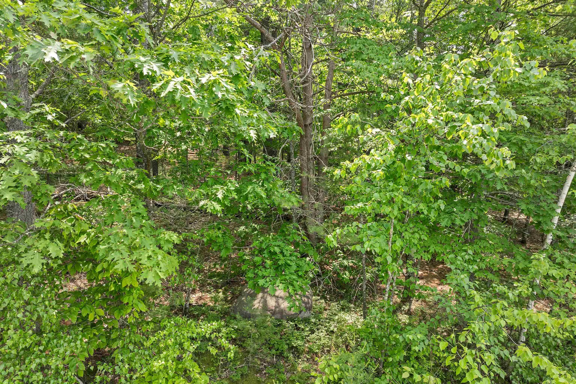 Franconia Drive New Durham NH 03855