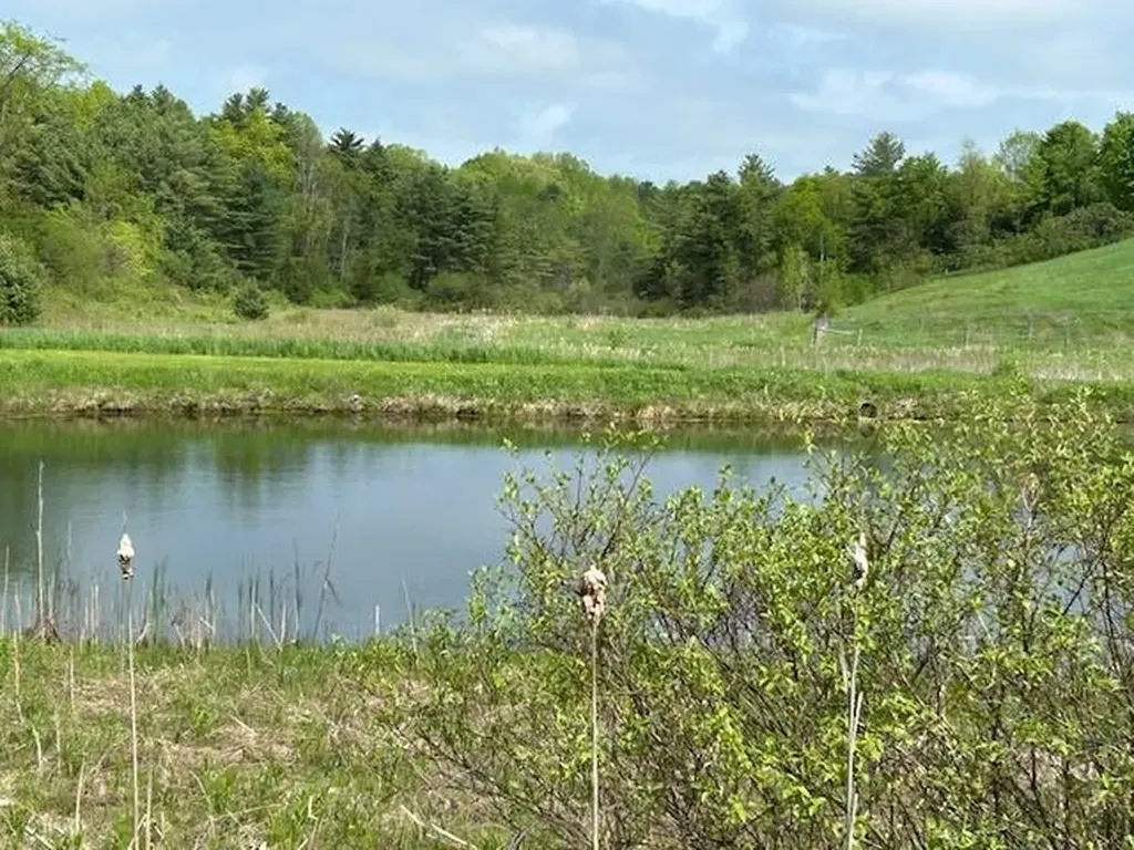 1204 Money Hole Road Benson VT 05743