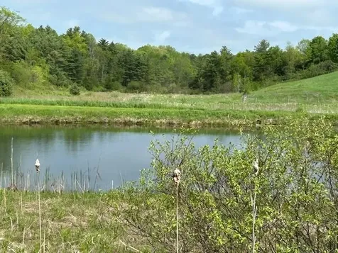 1204 Money Hole Road Benson VT 05743