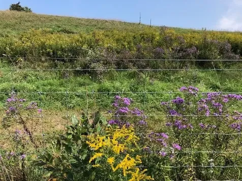 1204 Money Hole Road Benson VT 05743