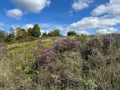 1204 Money Hole Road Benson VT 05743