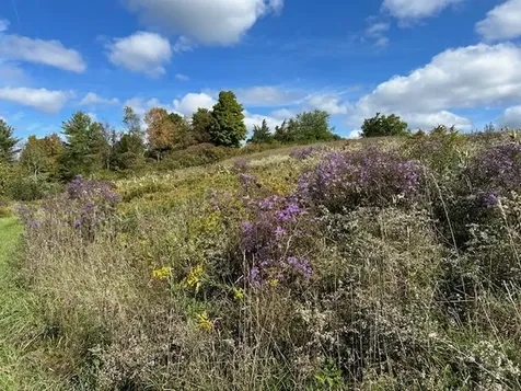 1204 Money Hole Road Benson VT 05743