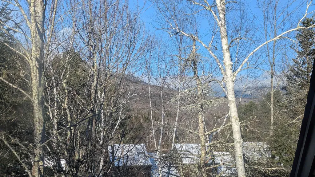 13 Mountain Sun Way Waterville Valley NH 03215