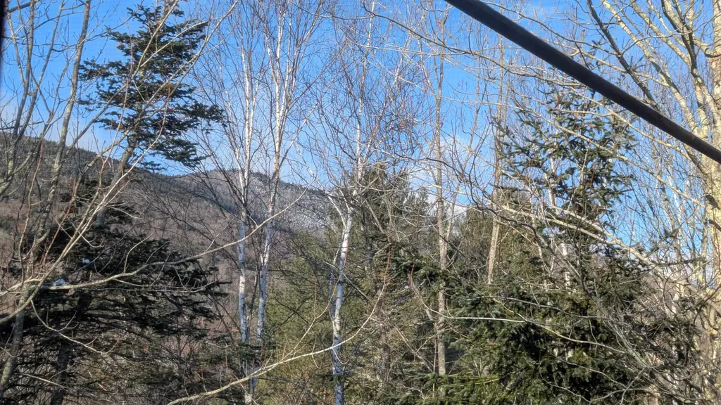 13 Mountain Sun Way Waterville Valley NH 03215