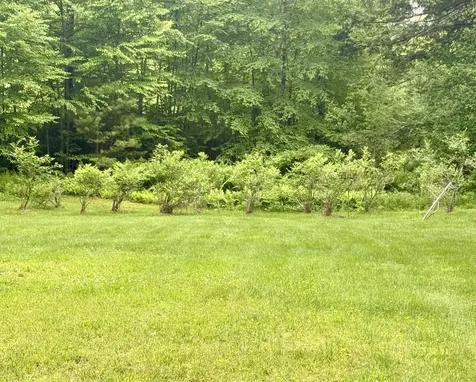 23 Boedtker Road Springfield VT 05156