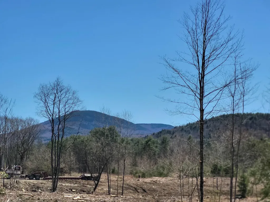 6 Eagle Pond Road Andover NH 03216